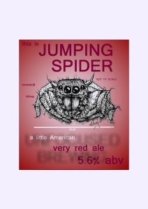 Pumpclip - JUMPING SPIDER2